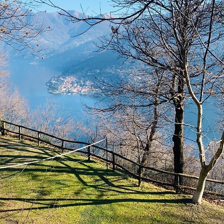 Il Riccio Appartamento Cernobbio Ngoại thất bức ảnh